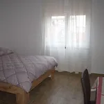 Nediljko & Mila Apartment Zadar